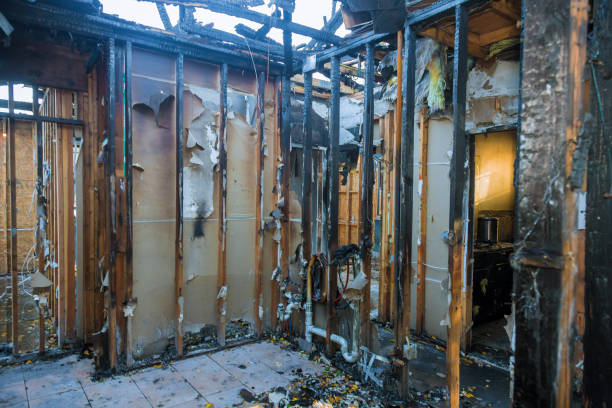 Professional Fire Damage Repair technician working in Winchester, NV